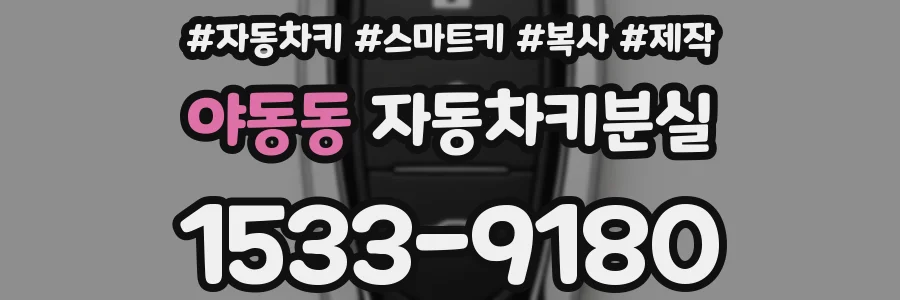 야동동 자동차키분실