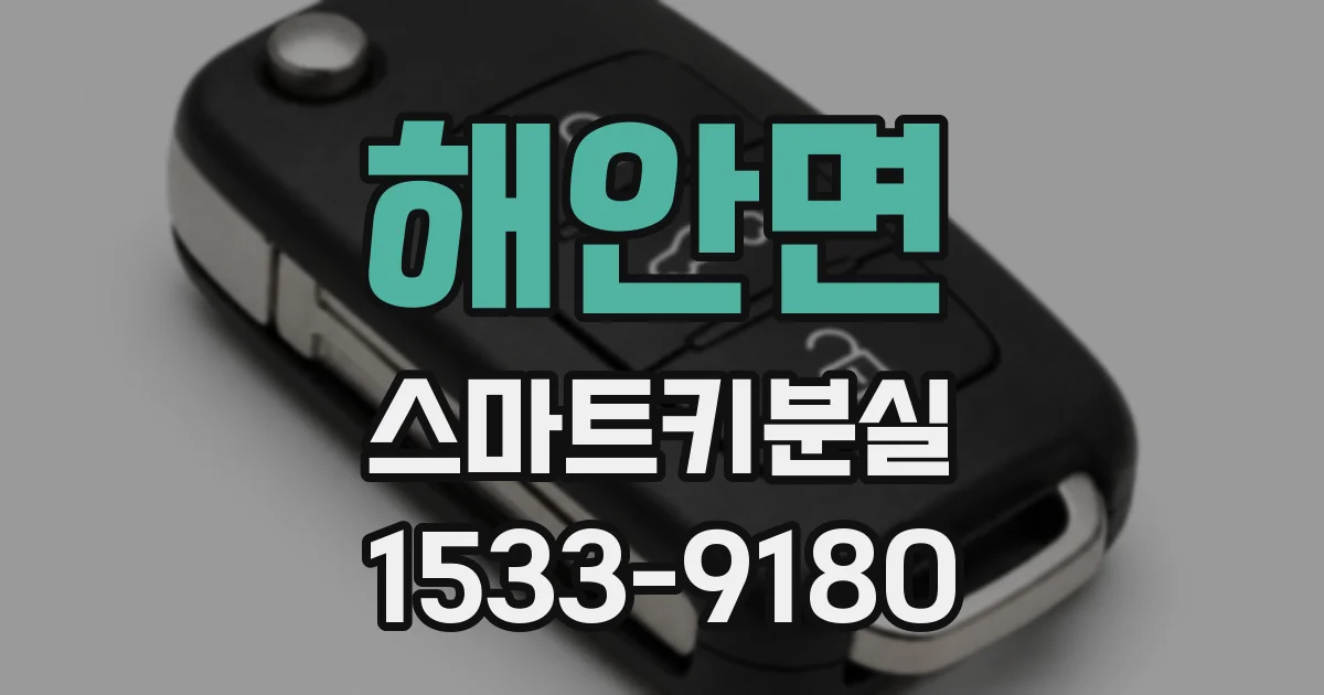 해안면 스마트키분실