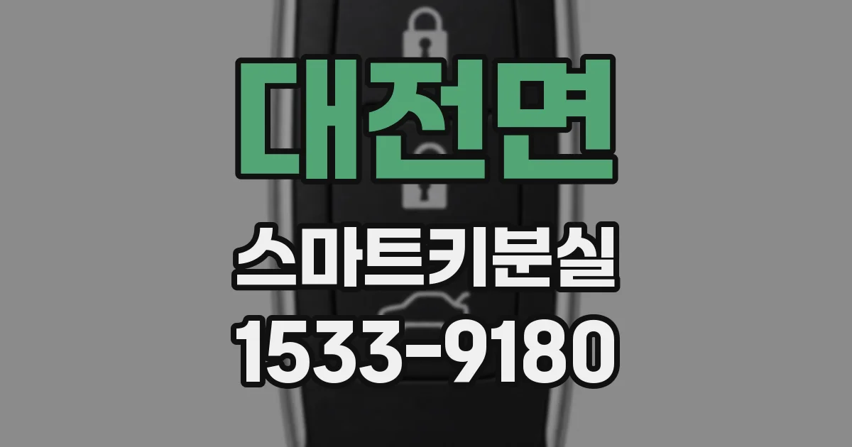 대전면 스마트키분실