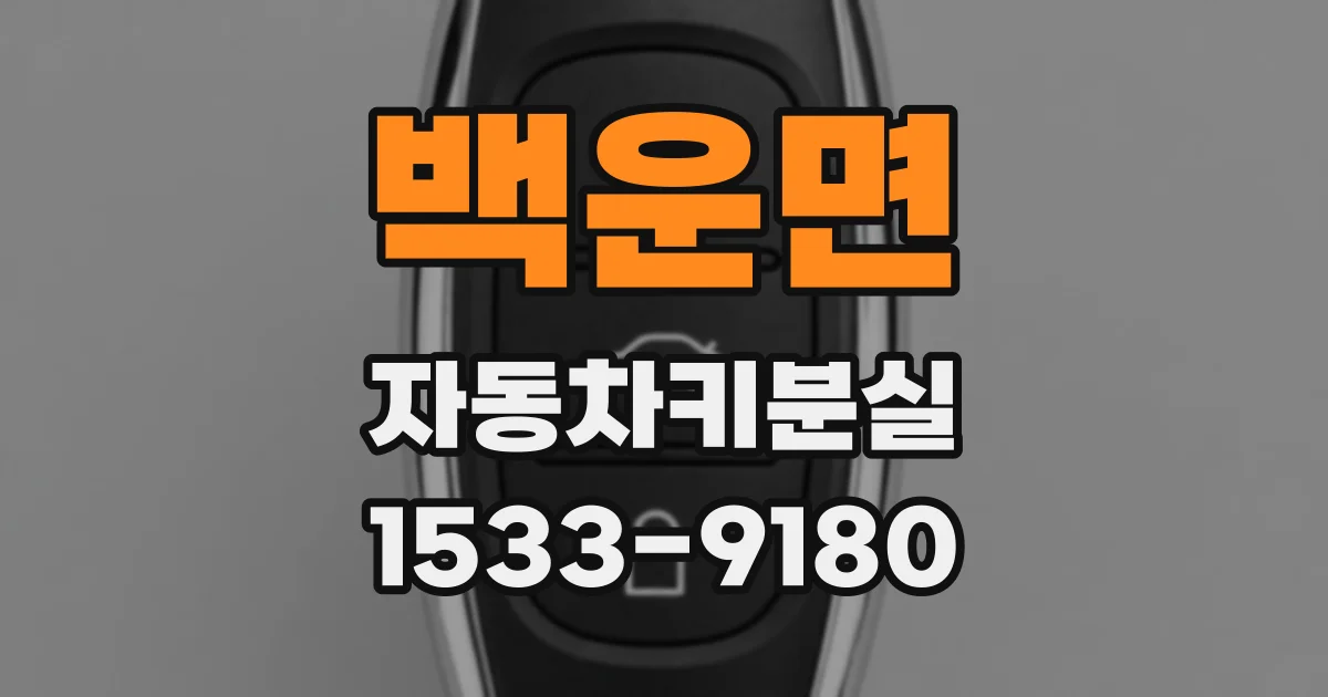 백운면 자동차키분실