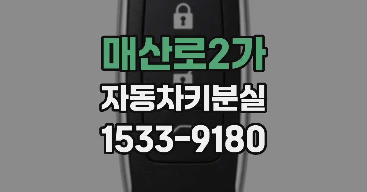 매산로2가 자동차키분실