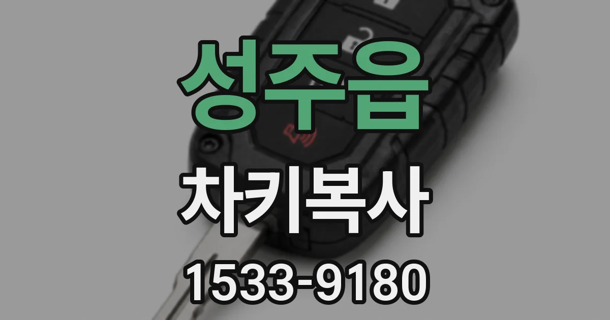 성주읍 차키복사
