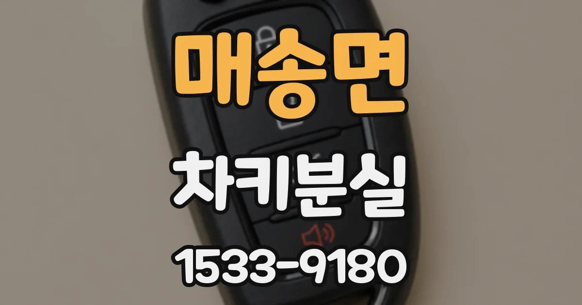 매송면 차키분실