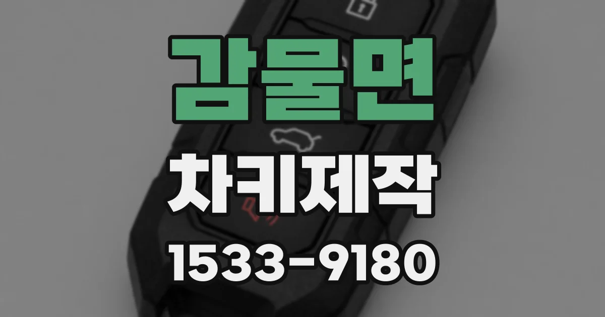 감물면 차키제작