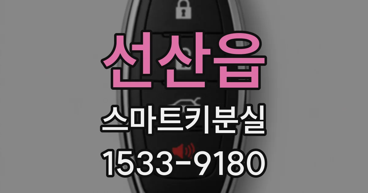 선산읍 스마트키분실