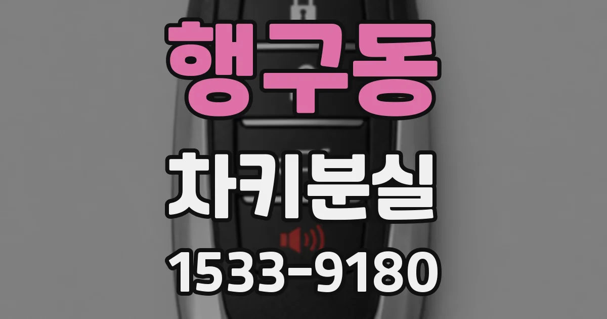 행구동 차키분실
