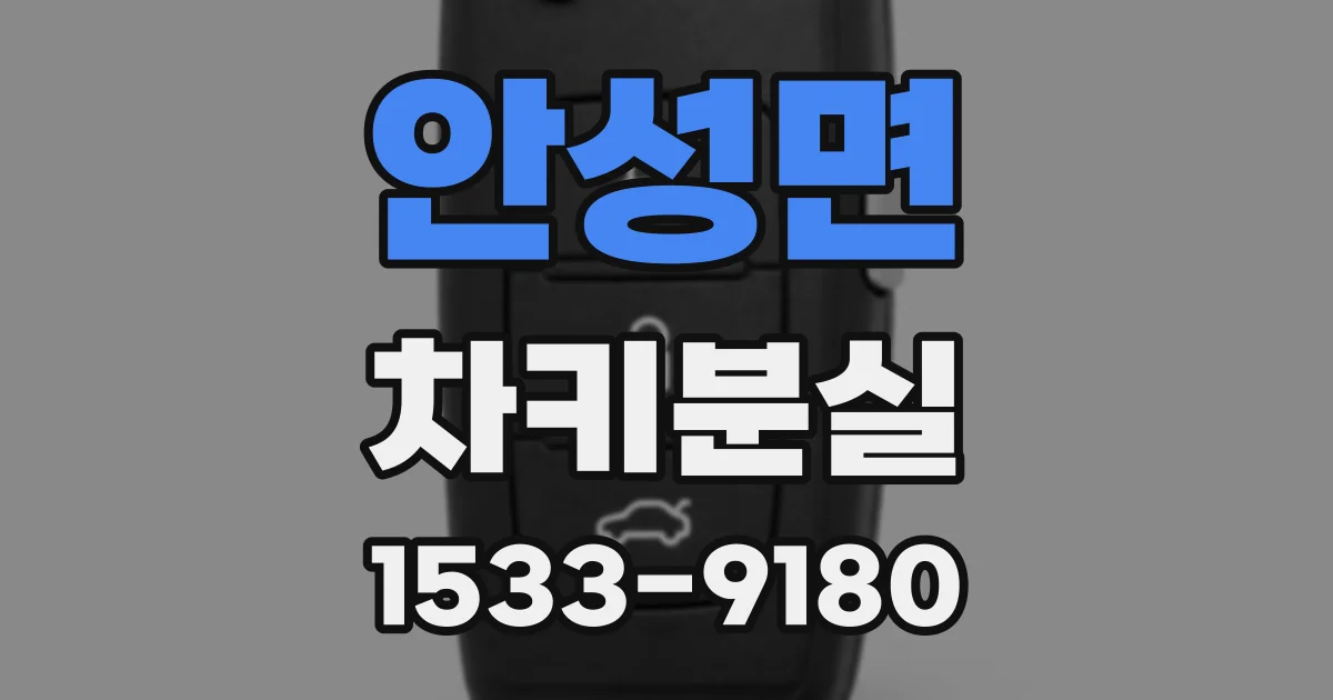 안성면 차키분실