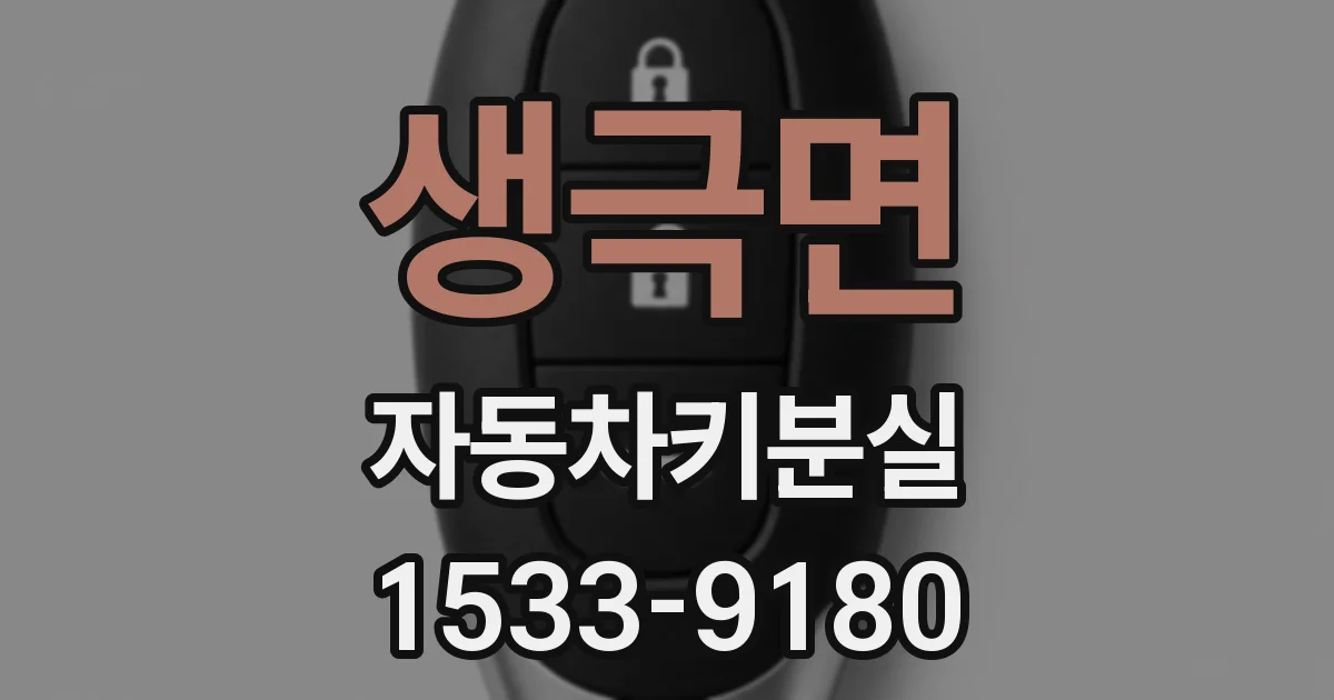 생극면 자동차키분실