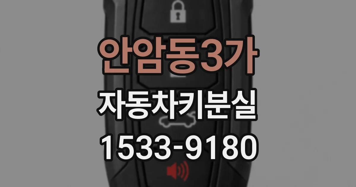 안암동3가 자동차키분실