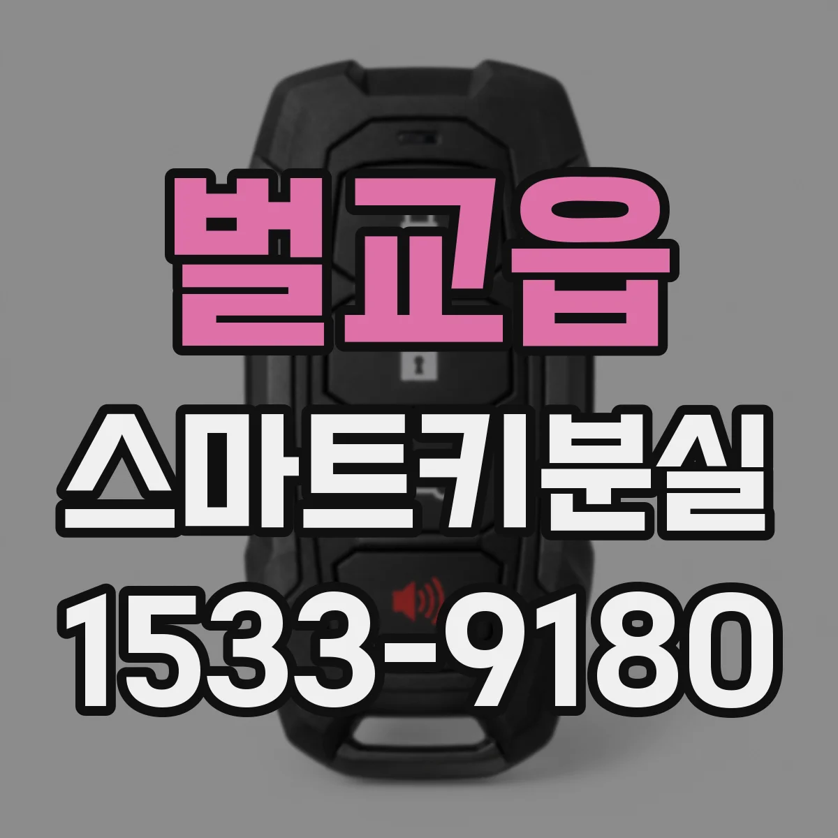 벌교읍 스마트키분실
