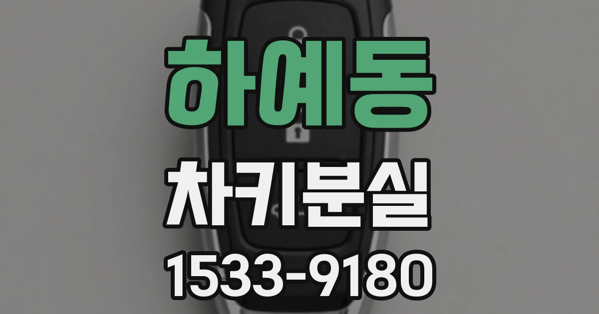 하예동 차키분실