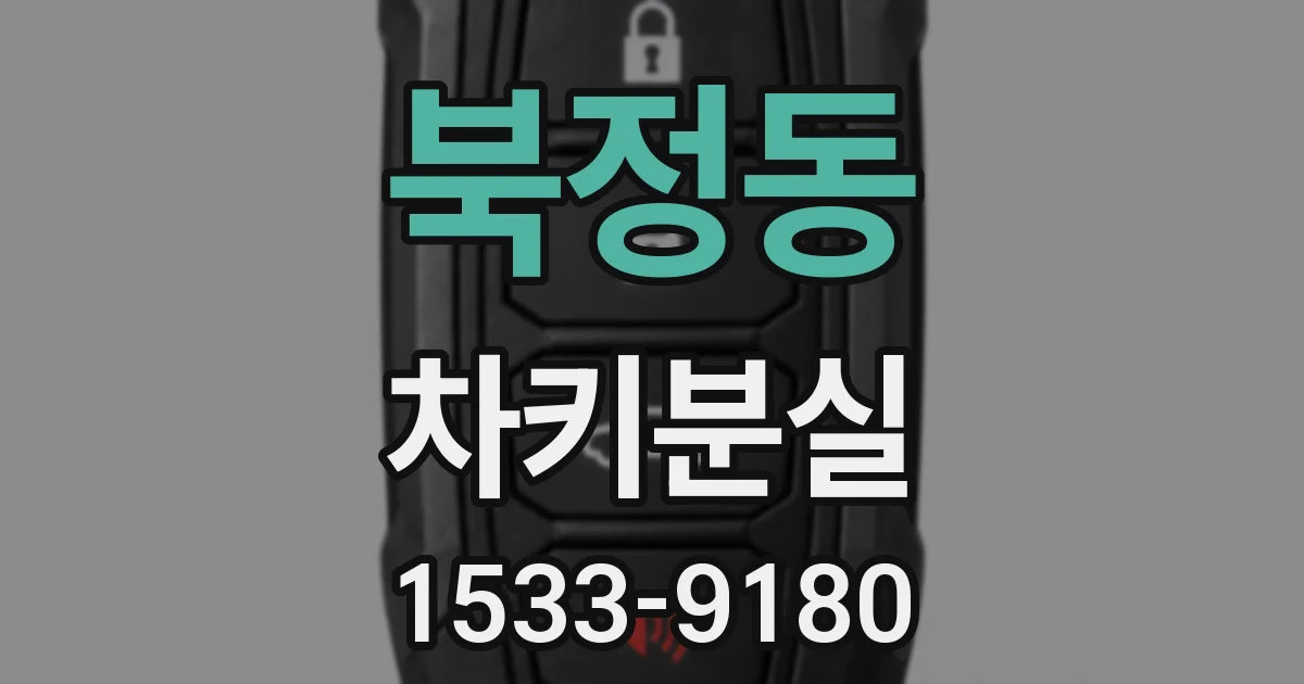 북정동 차키분실