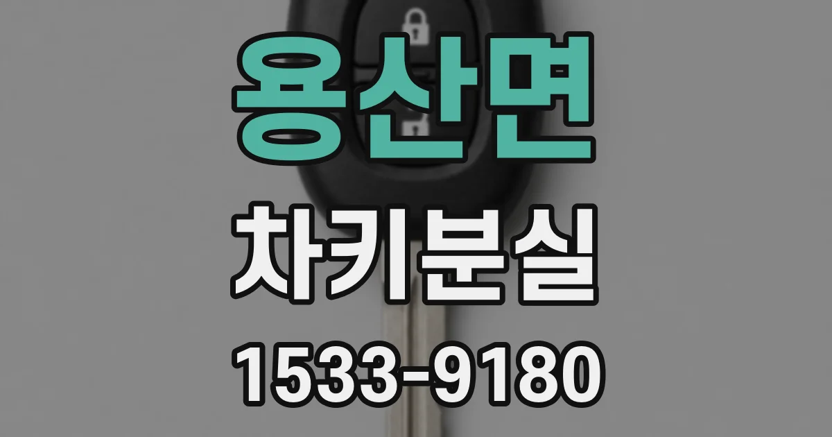 용산면 차키분실