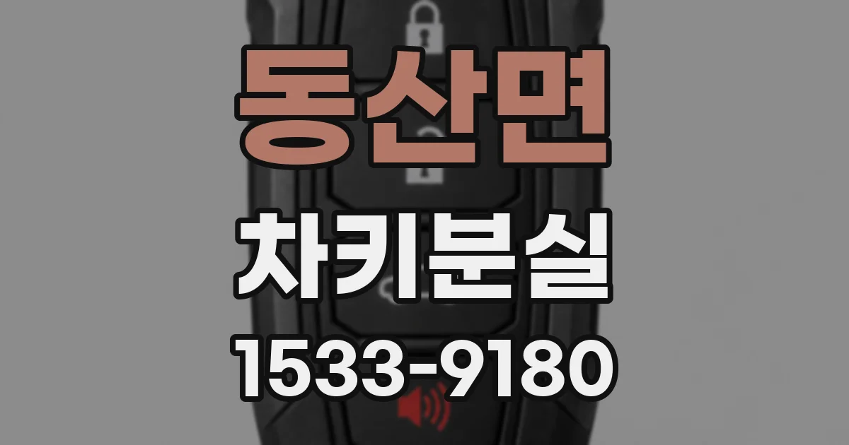 동산면 차키분실