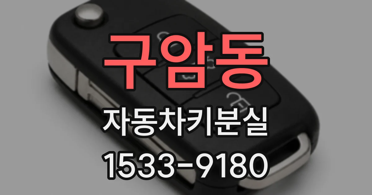 구암동 자동차키분실