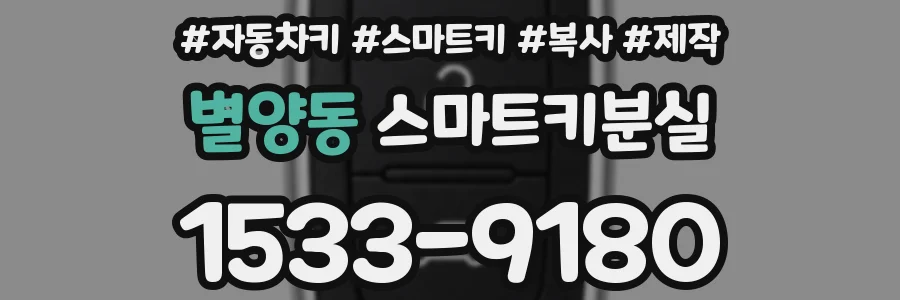 별양동 스마트키분실