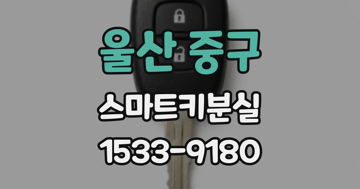 울산 중구 스마트키분실
