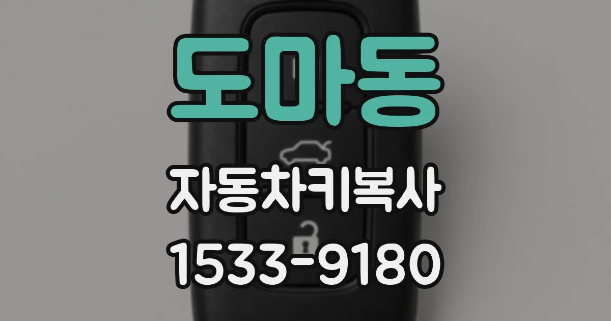 도마동 자동차키복사