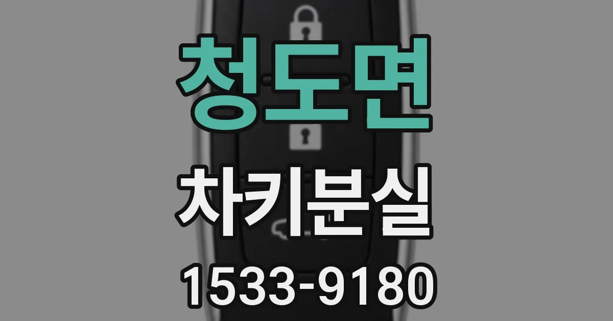 청도면 차키분실