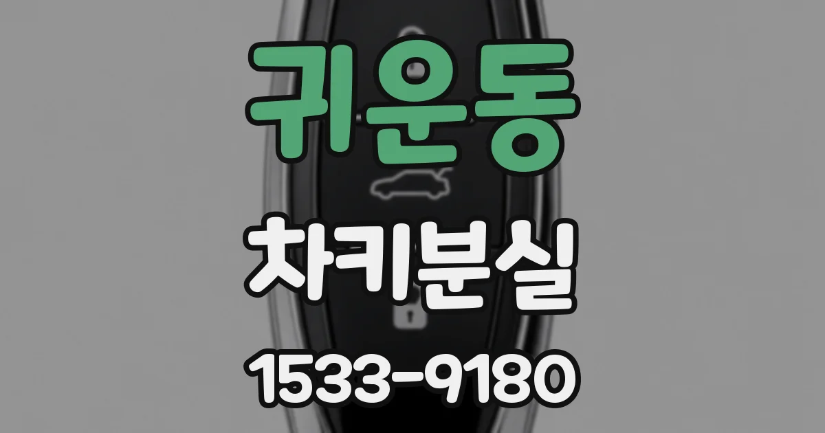 귀운동 차키분실