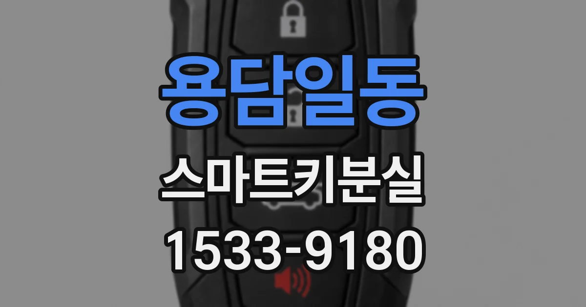 용담일동 스마트키분실