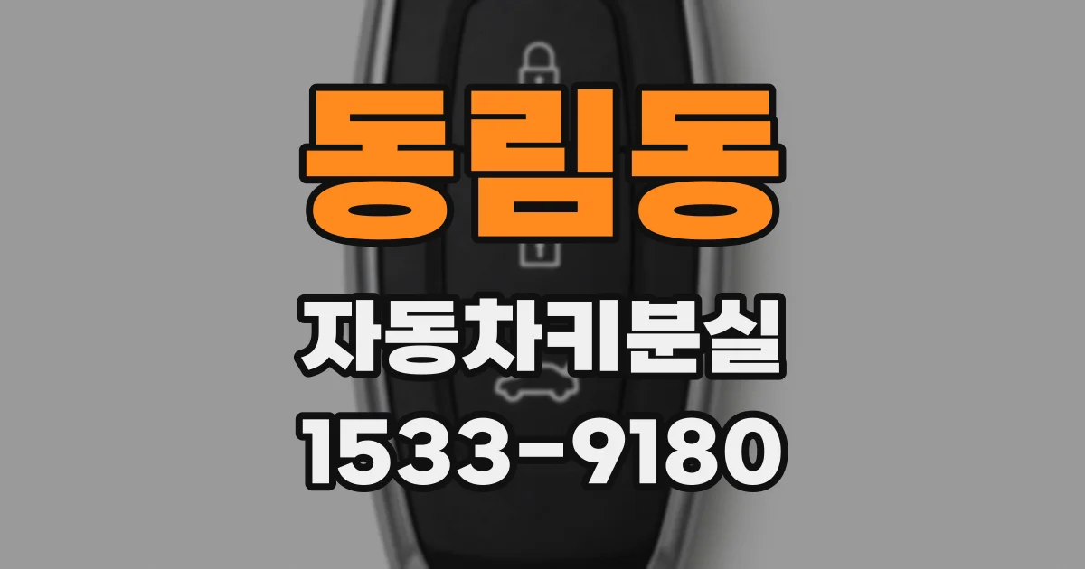 동림동 자동차키분실