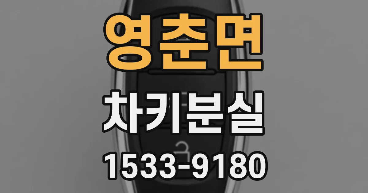 영춘면 차키분실