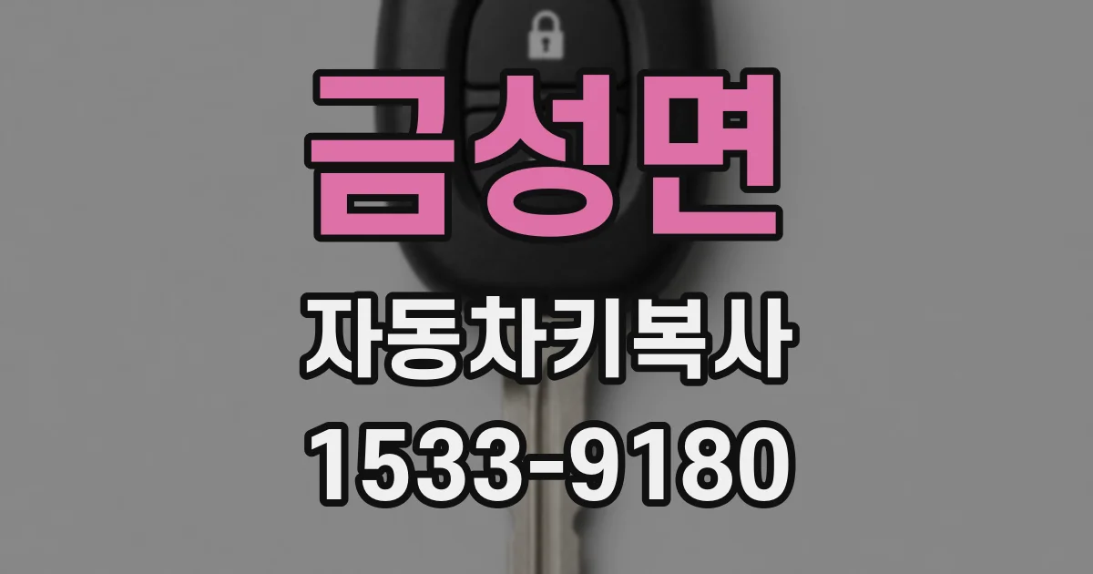 금성면 자동차키복사