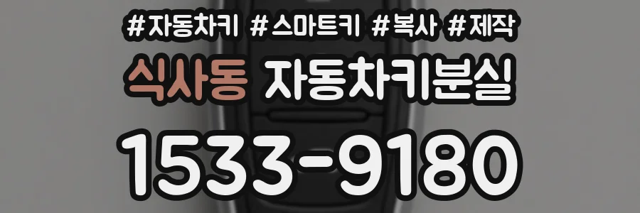 식사동 자동차키분실