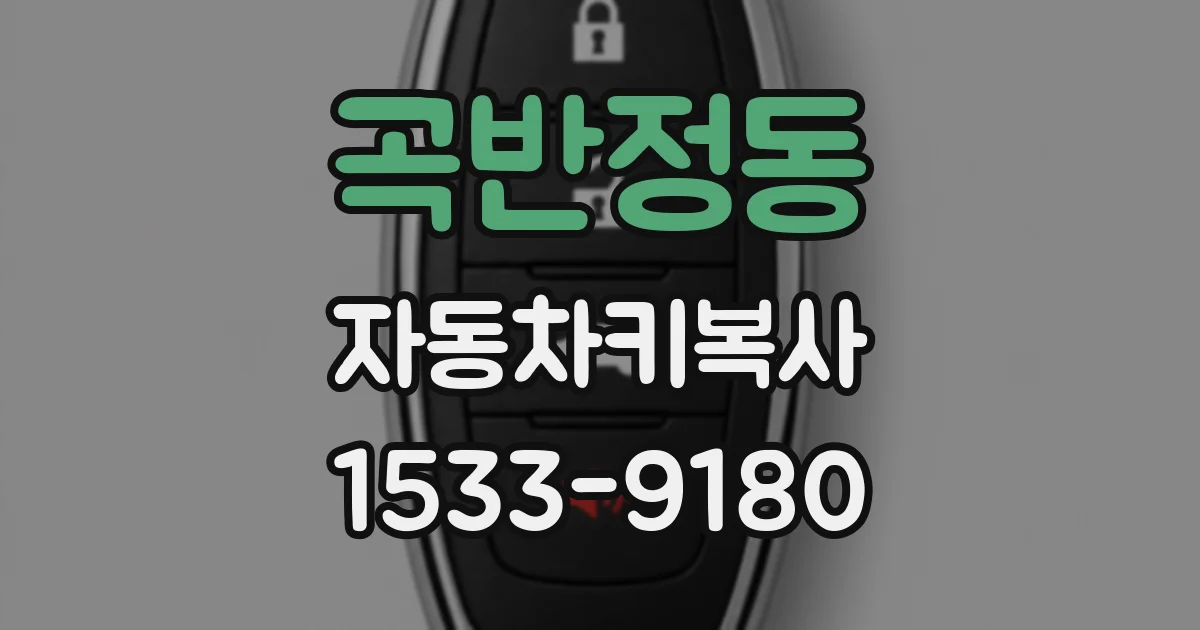 곡반정동 자동차키복사