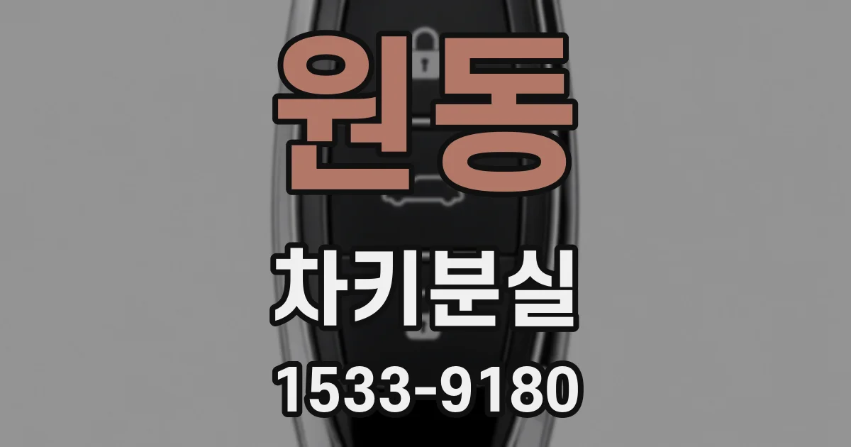 원동 차키분실