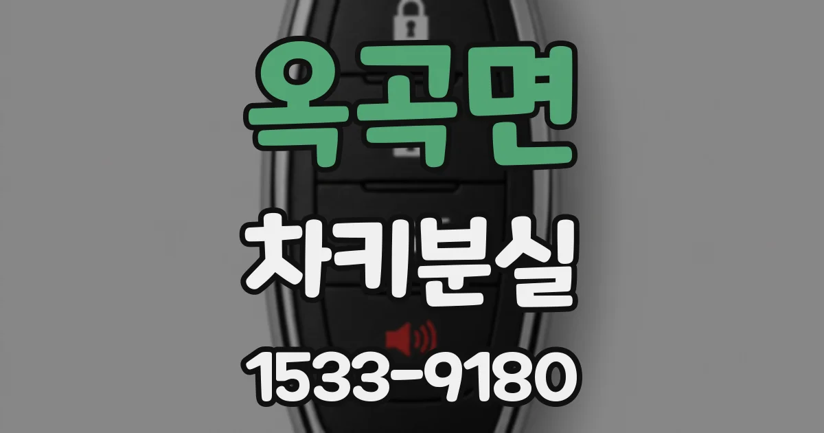 옥곡면 차키분실
