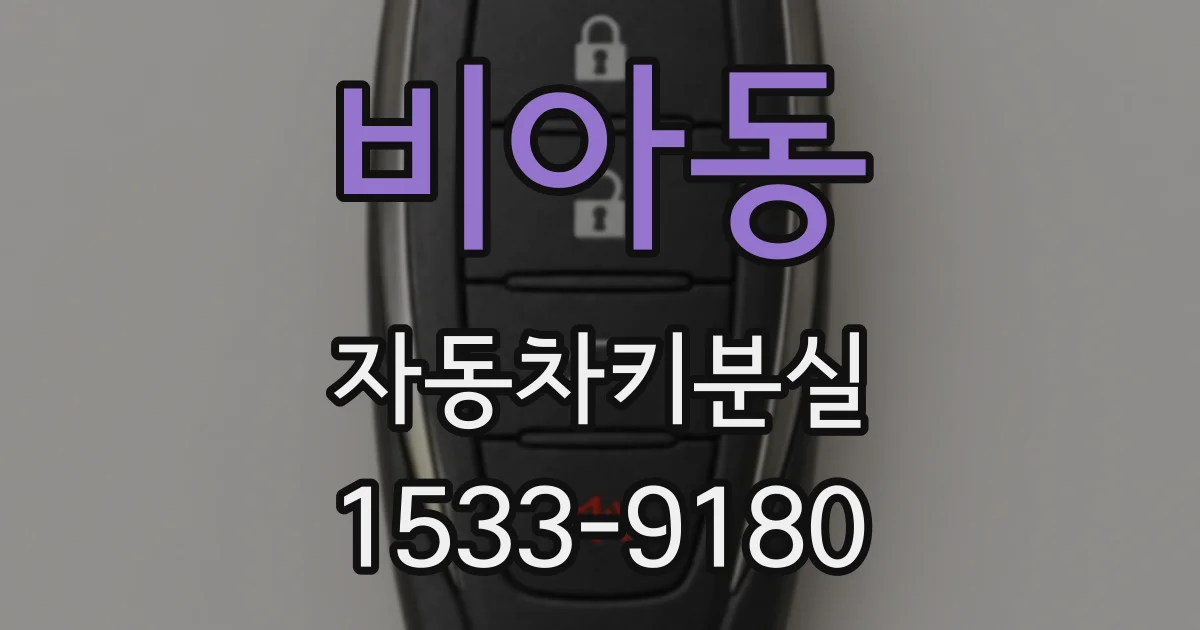 비아동 자동차키분실