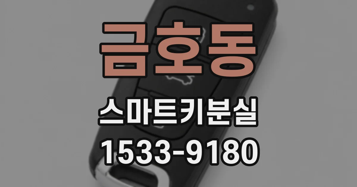 금호동 스마트키분실