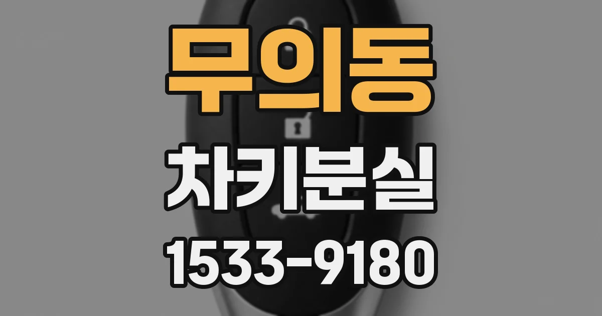 무의동 차키분실