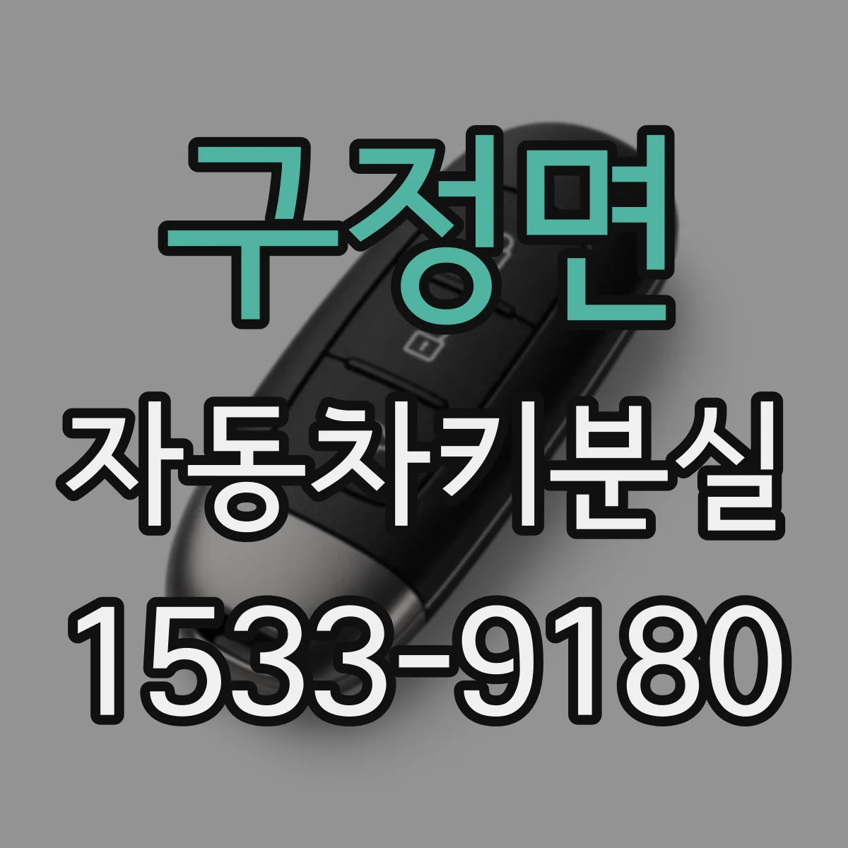 구정면 자동차키분실