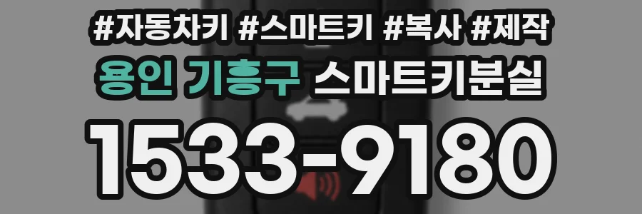 용인 기흥구 스마트키분실