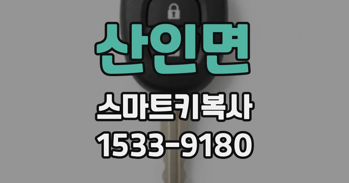 산인면 스마트키복사
