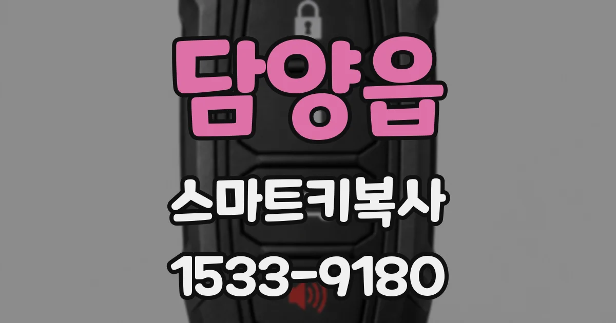담양읍 스마트키복사