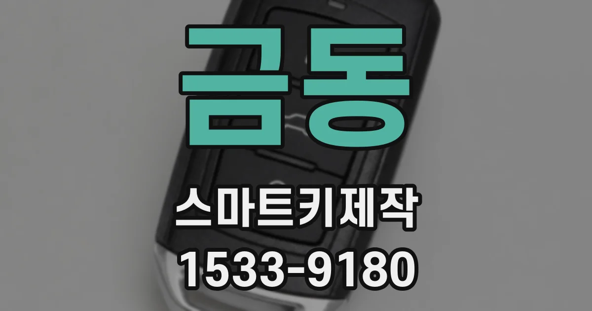 금동 스마트키제작