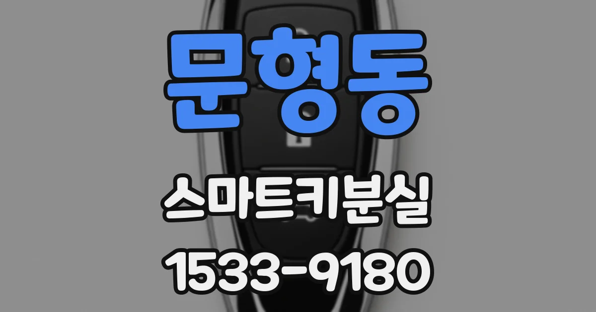 문형동 스마트키분실