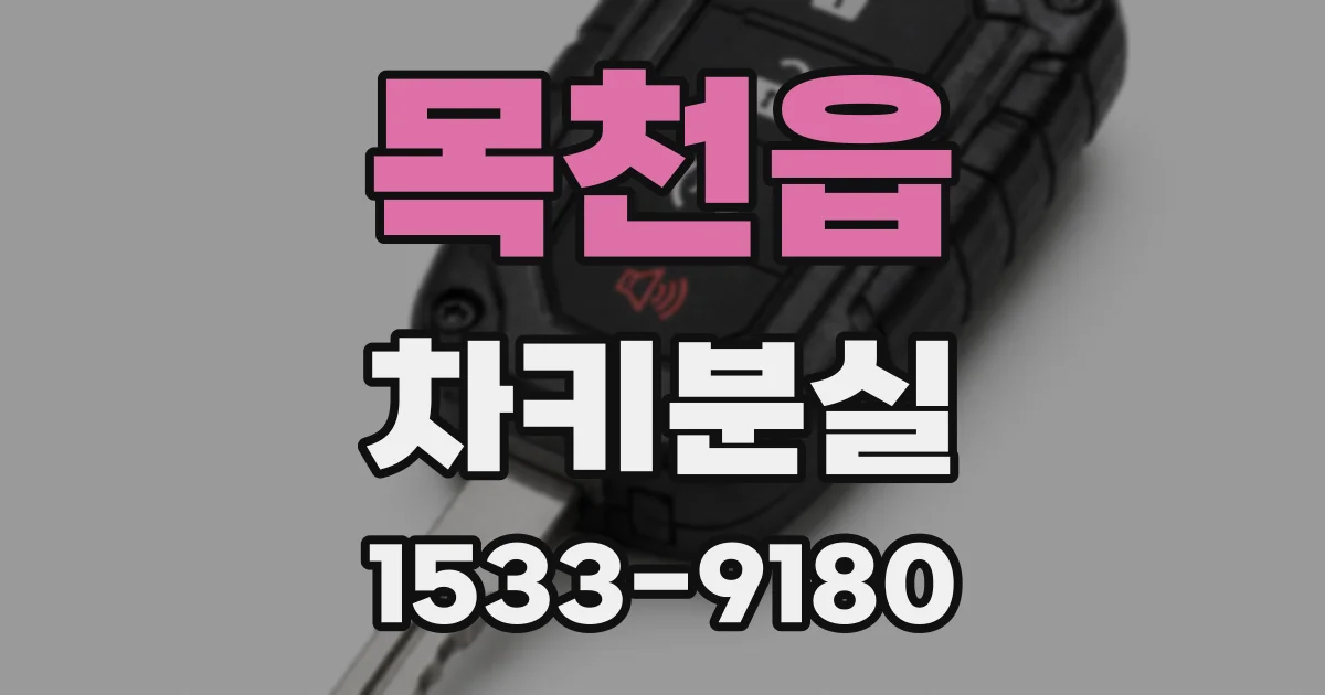 목천읍 차키분실