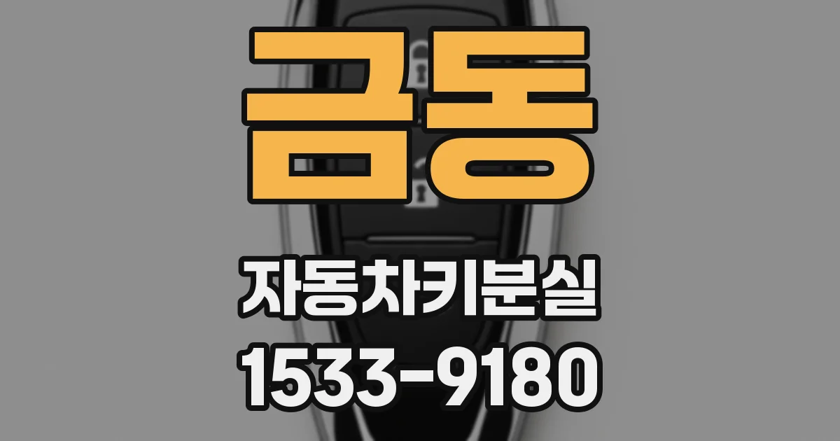 금동 자동차키분실