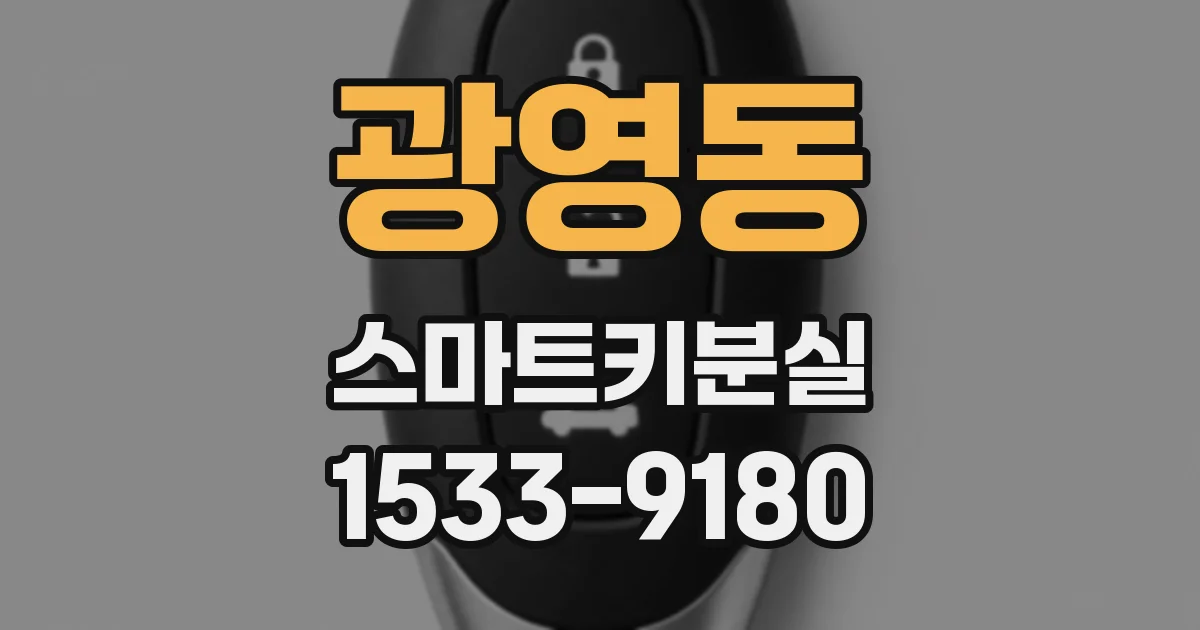 광영동 스마트키분실