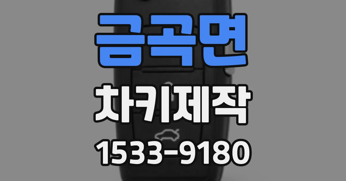 금곡면 차키제작