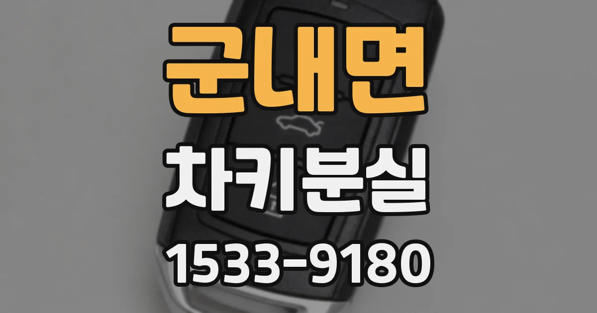 군내면 차키분실