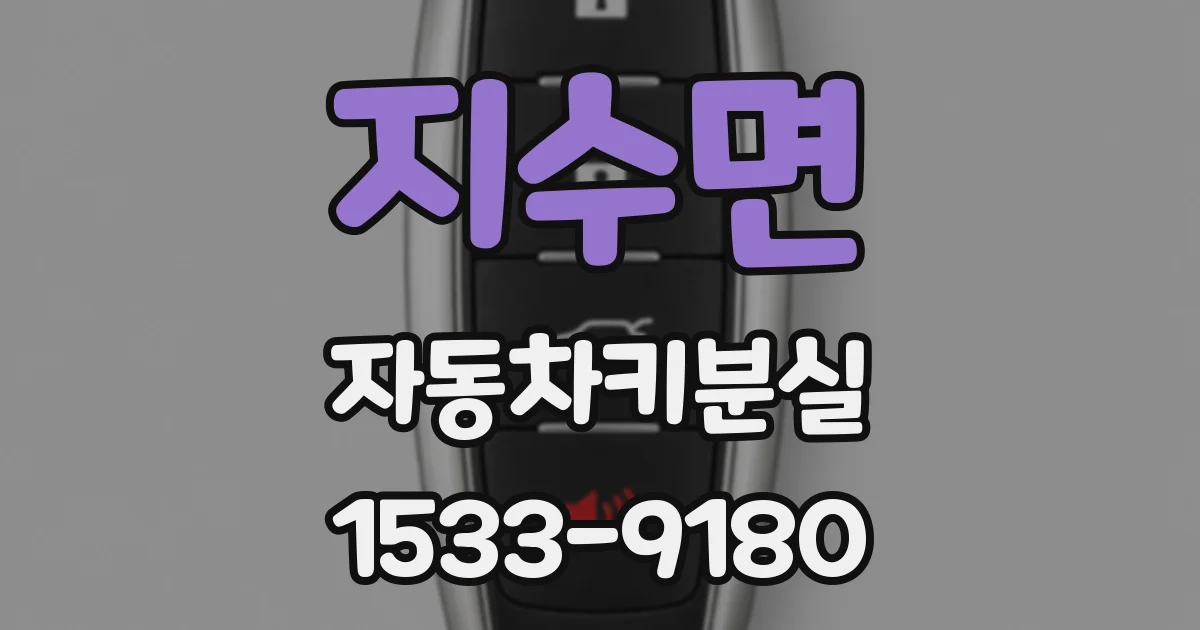 지수면 자동차키분실