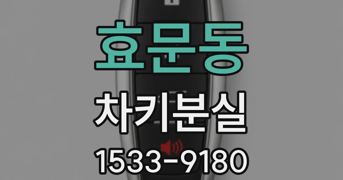 효문동 차키분실