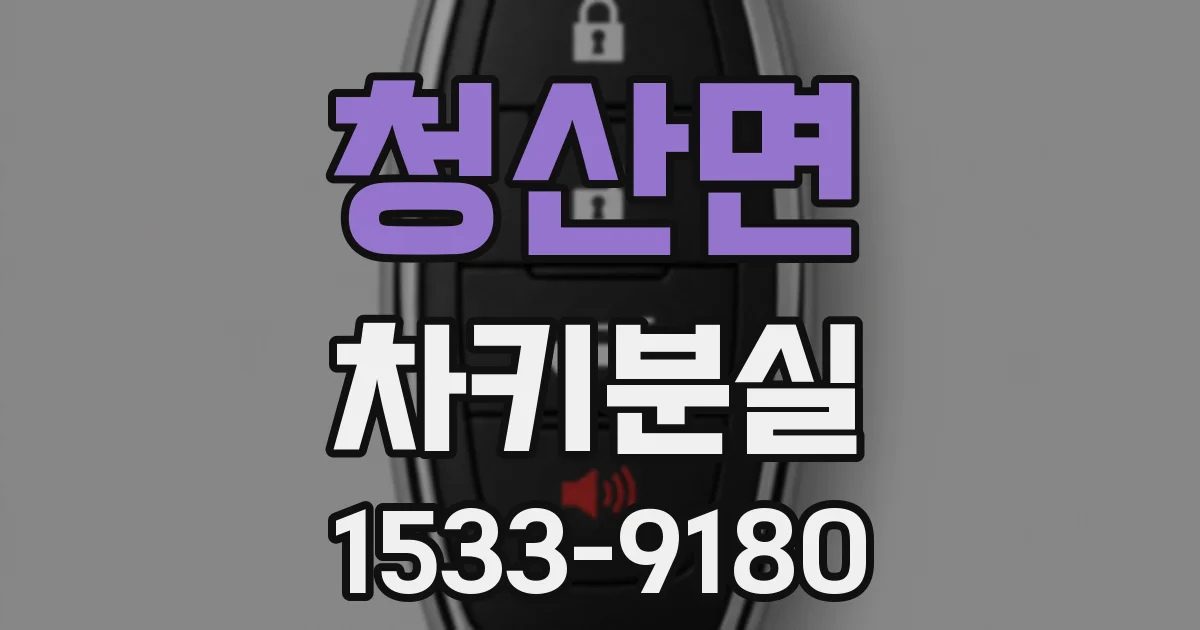 청산면 차키분실