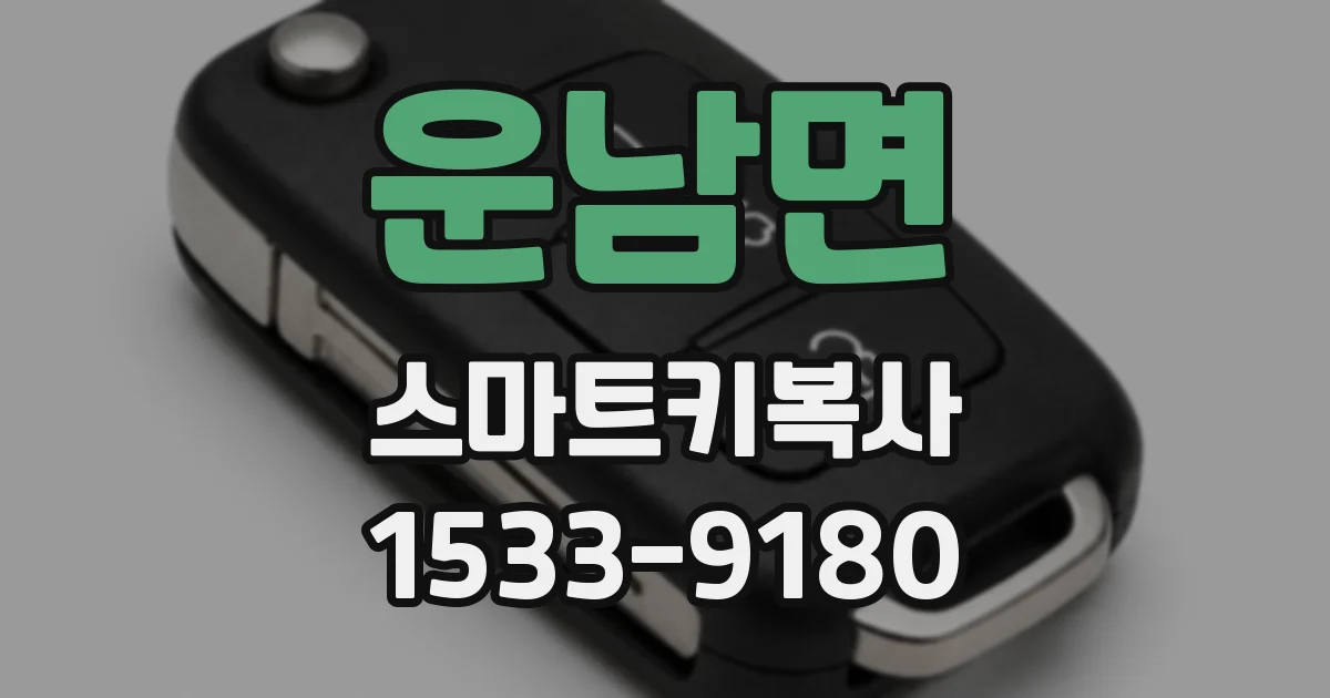 운남면 스마트키복사